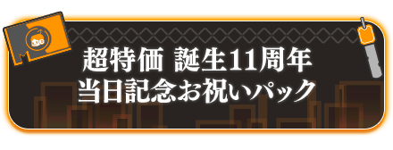 超特価 誕生11周年当日記念お祝いパック